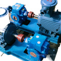 Direct Selling Long Service Life Cast Steel Gear Pump Insulation Pump